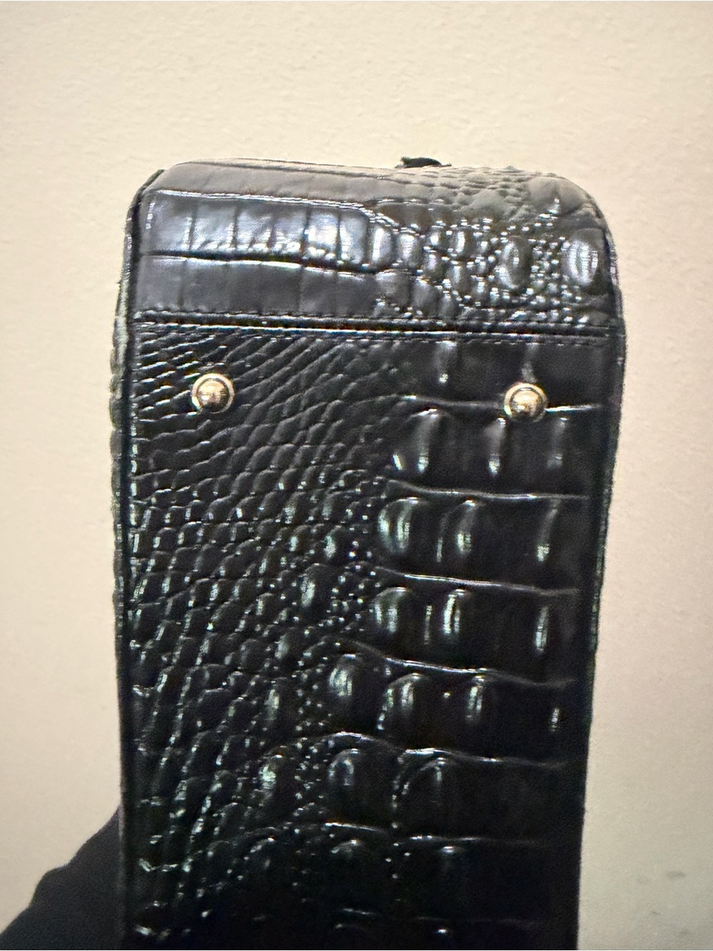Brahmin - Picture 5 of 9
